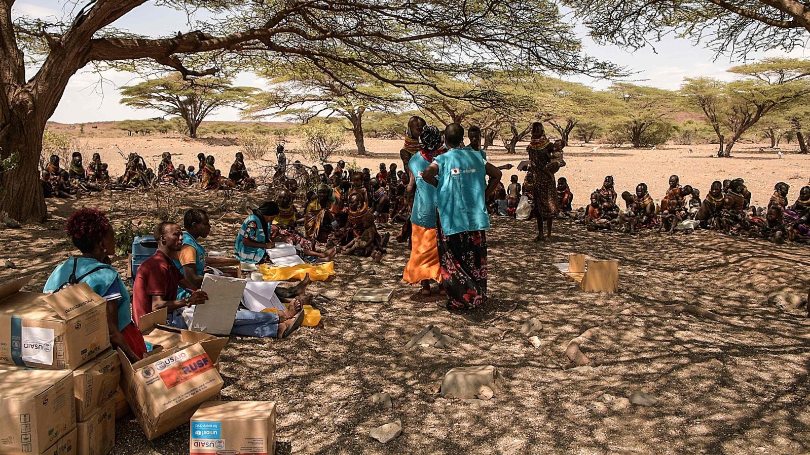 Nearly 350M people in Africa don't have food to eat: Red Cross